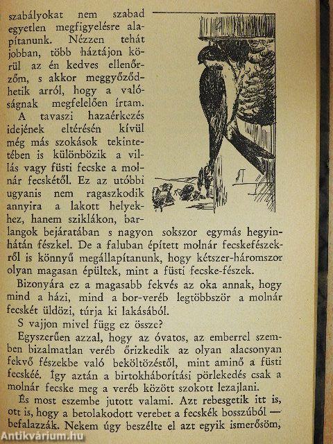 Ismerkedés a természettel