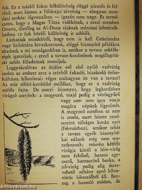 Ismerkedés a természettel