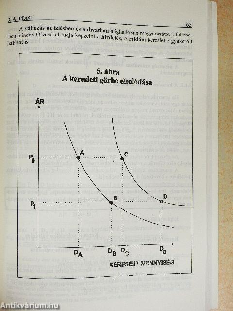 Bevezetés a közgazdaságtanba