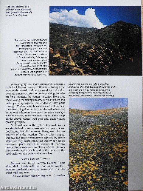 Sequoia-Kings Canyon