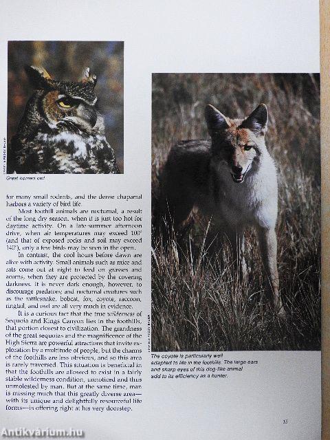 Sequoia-Kings Canyon