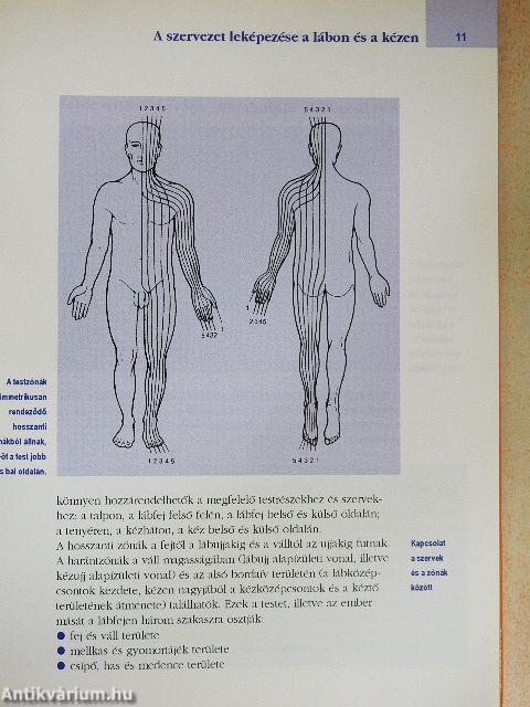 Reflexzóna-masszázs