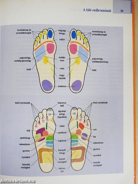 Reflexzóna-masszázs