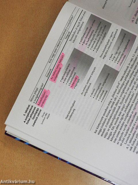 Szolgáltatásmarketing