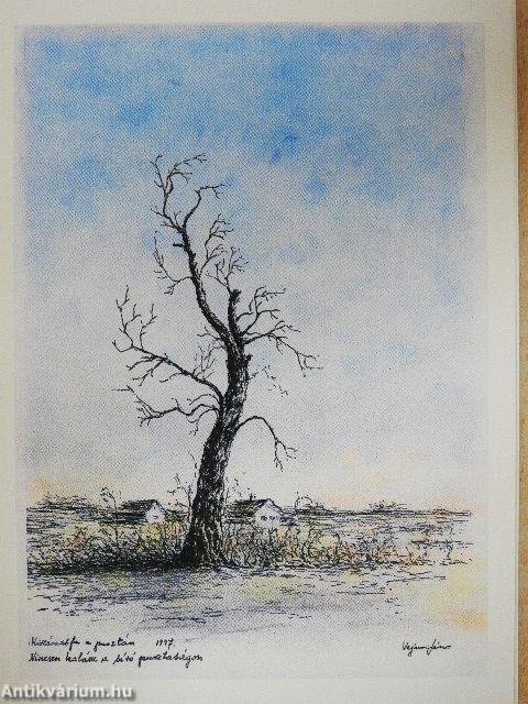 Vásárhely szélös határában