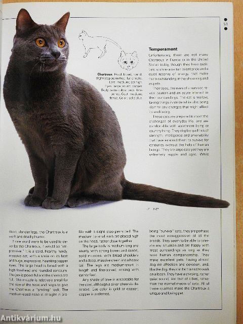 Legacy of the Cat