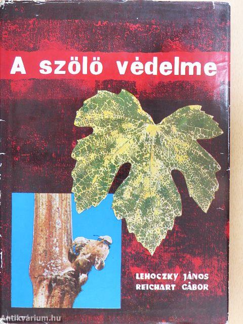 A szőlő védelme