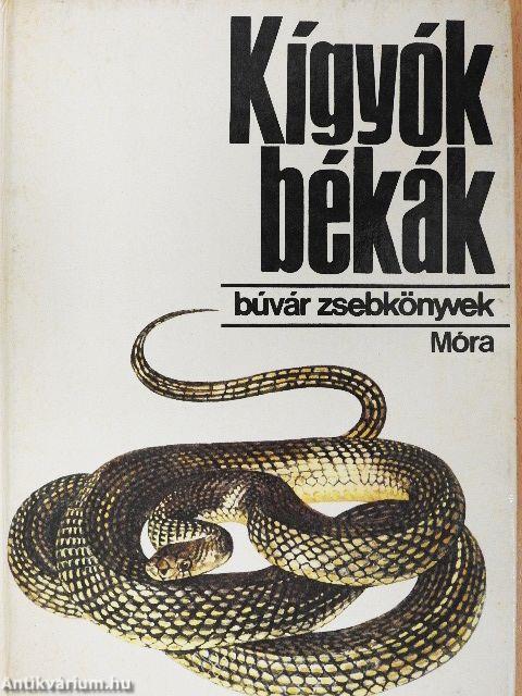 Kígyók, békák
