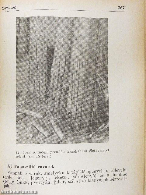 Tatarozási zsebkönyv