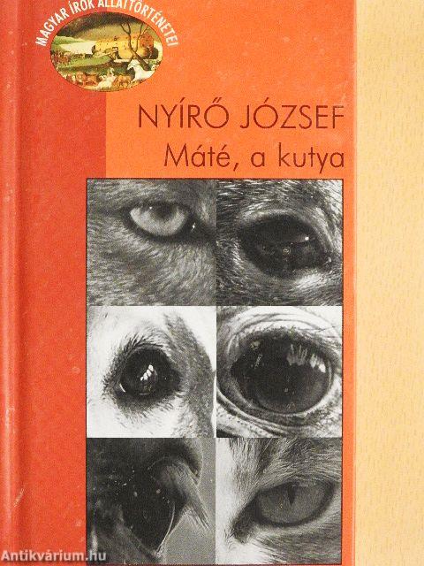 Máté, a kutya