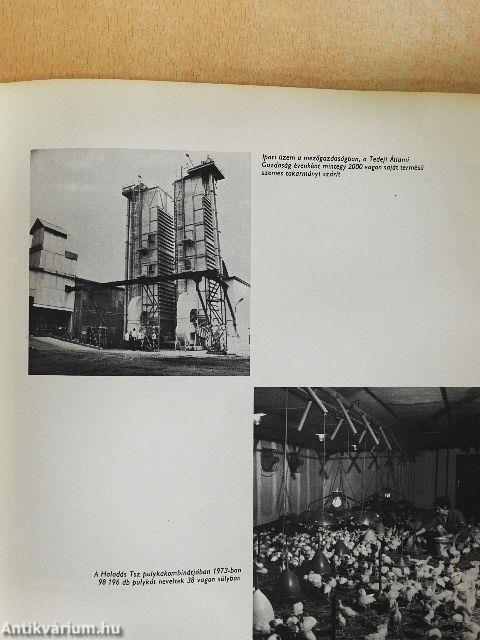 Hajdúnánás 30 éve