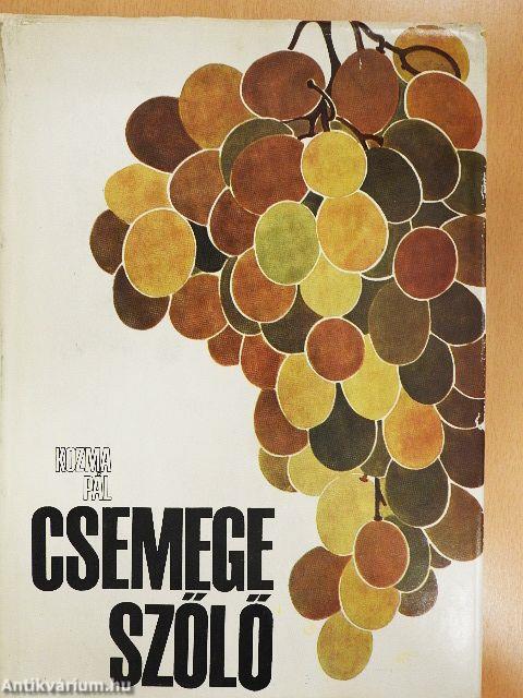 Csemegeszőlő