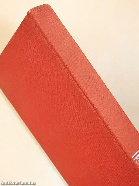 A halászó macska uccája