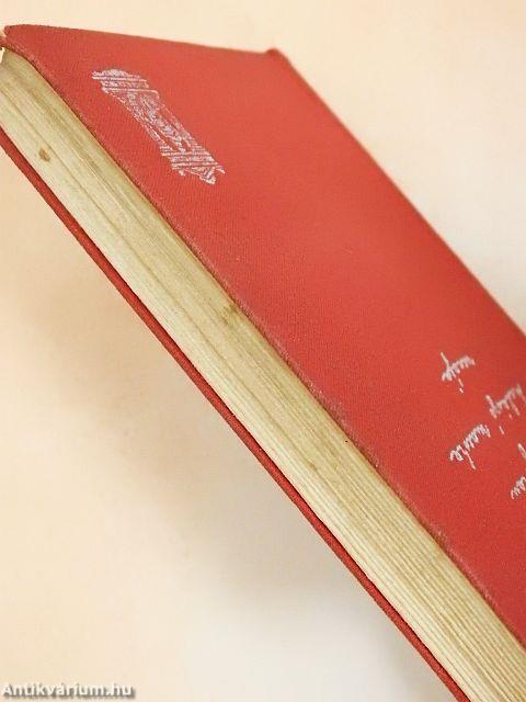 A halászó macska uccája