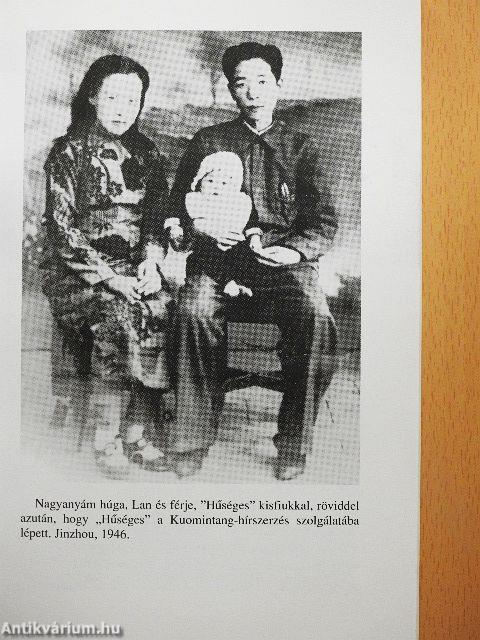 Vadhattyúk