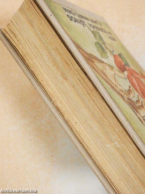 A kárhozatos szerelem