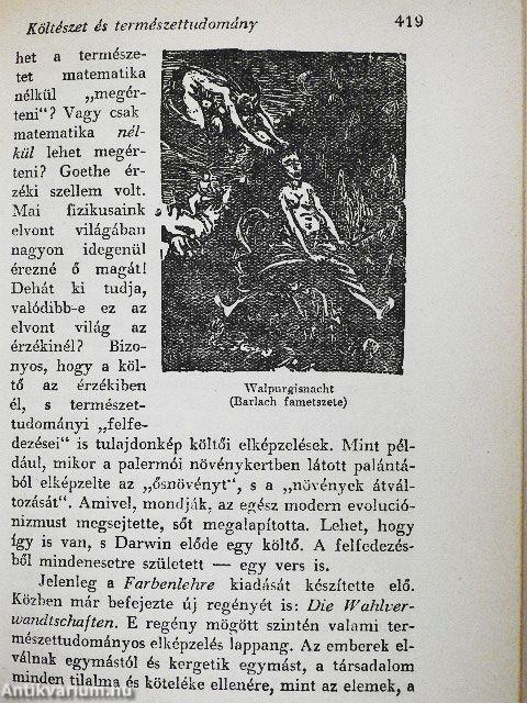 Giarion/Fuvolás férfi/Dr Pokol