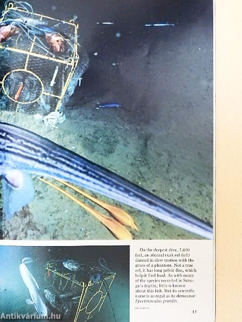 National Geographic October 1990