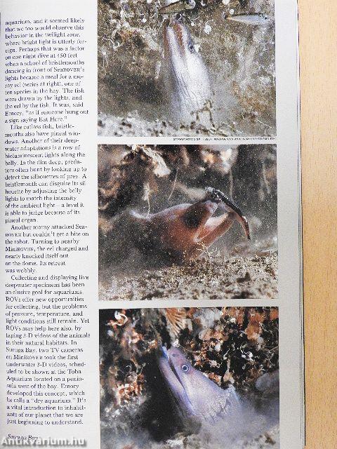 National Geographic October 1990