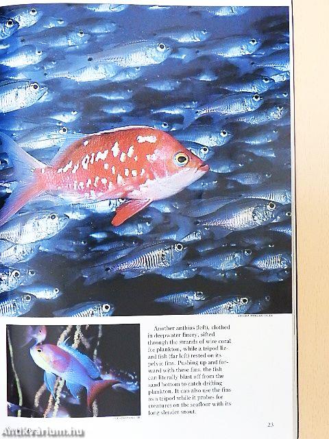 National Geographic October 1990