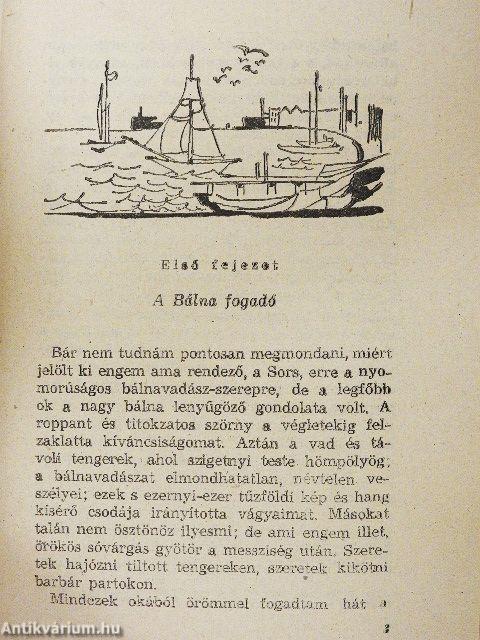 Moby Dick, a fehér bálna I-II.