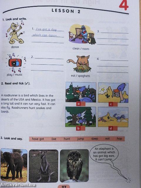 Pop Up Now 5 - Workbook - 2 db CD-vel