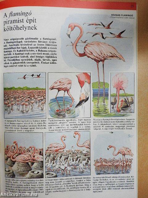 Az állatvilág képekben 2.