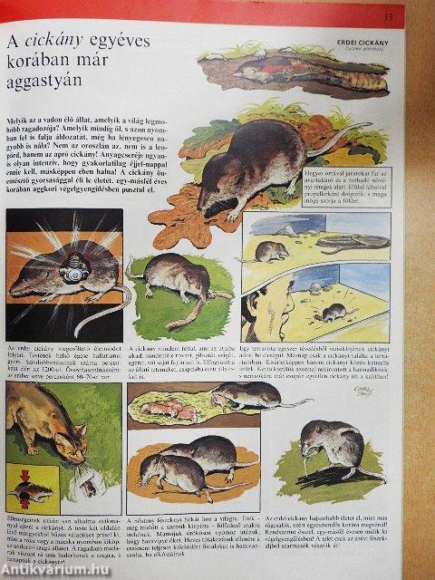 Az állatvilág képekben 2.