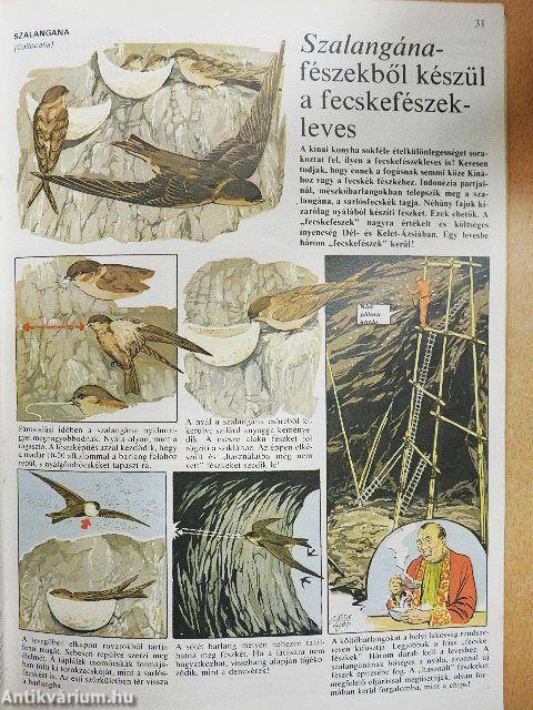 Az állatvilág képekben 4.