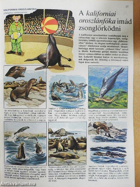 Az állatvilág képekben 4.