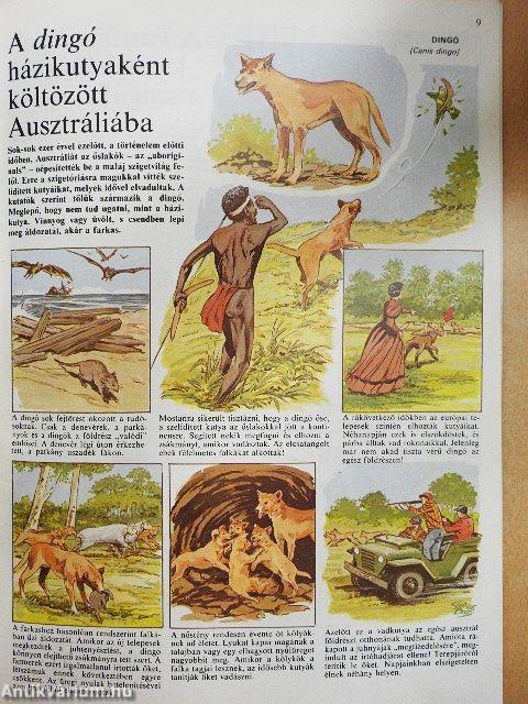 Az állatvilág képekben 4.