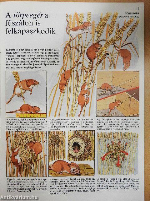 Az állatvilág képekben 4.