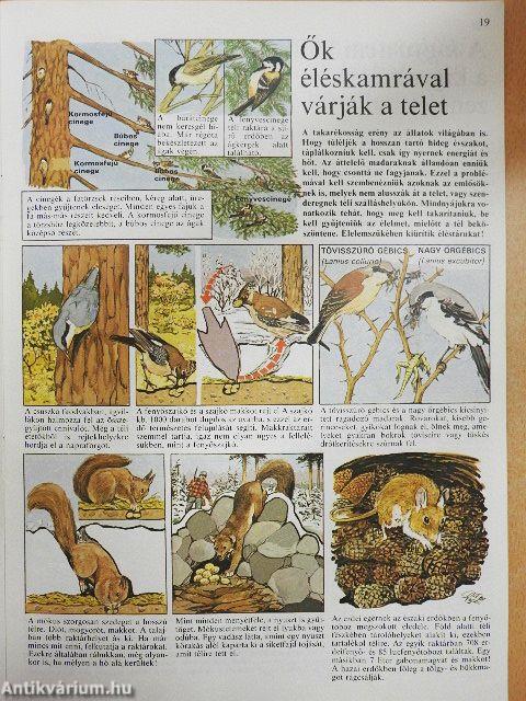 Az állatvilág képekben 4.