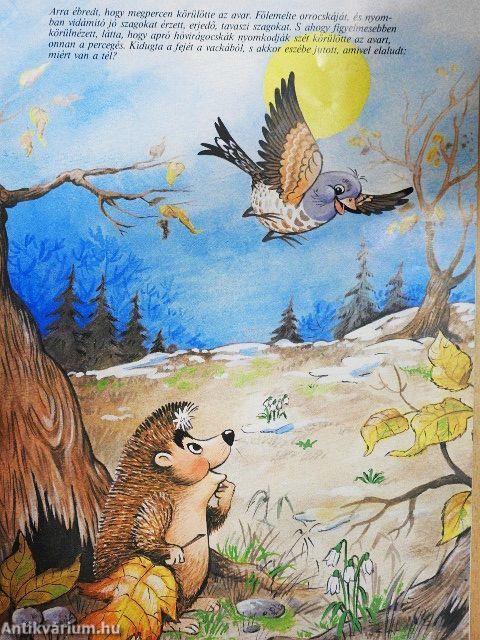 Mese a fehércsillagos sündisznóról