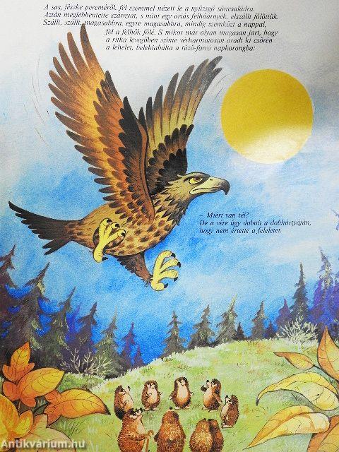 Mese a fehércsillagos sündisznóról