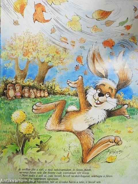 Mese a fehércsillagos sündisznóról