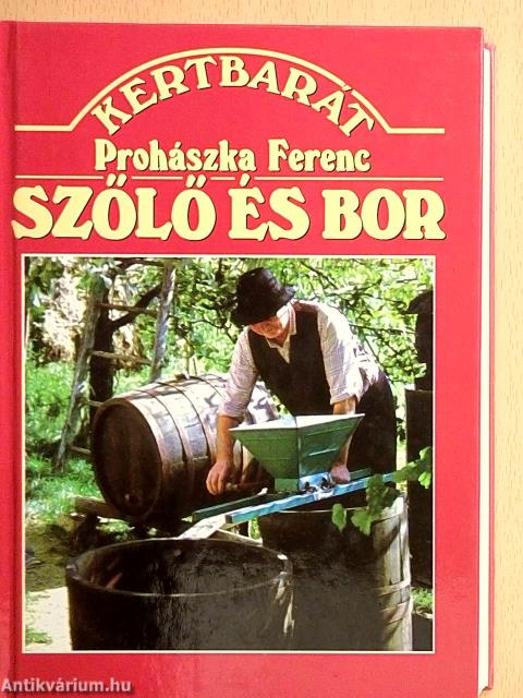 Szőlő és bor