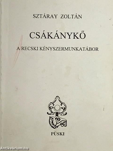 Csákánykő