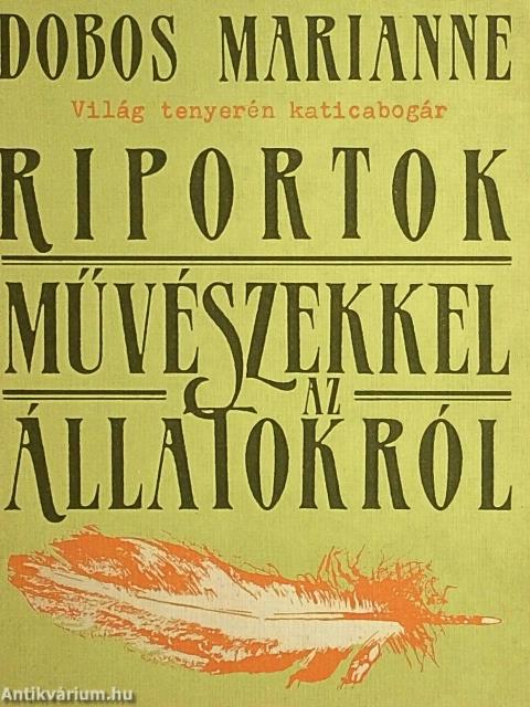 Világ tenyerén katicabogár