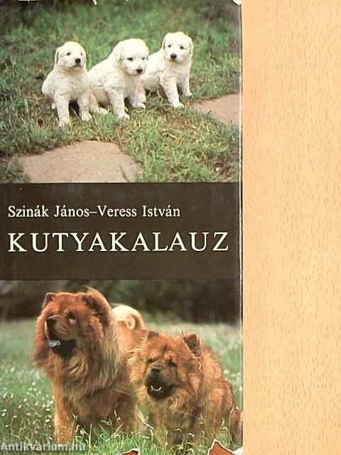 Kutyakalauz