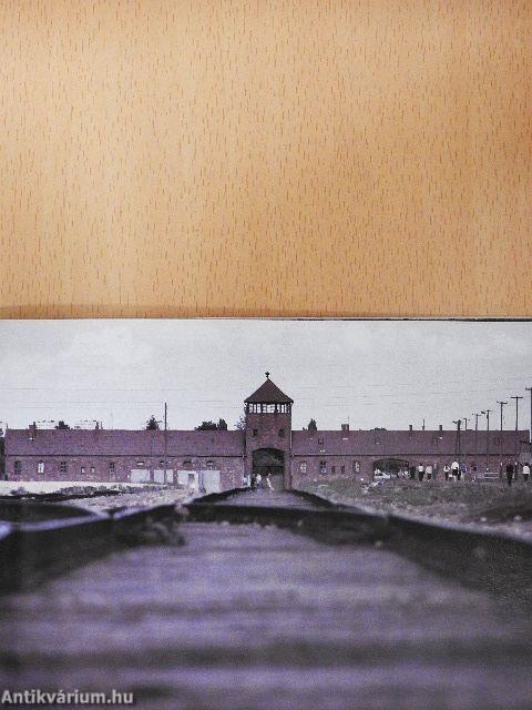 Auschwitz Birkenau