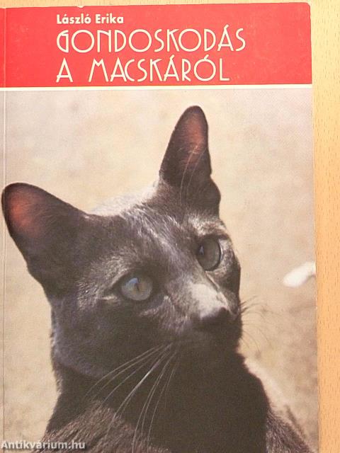 Gondoskodás a macskáról