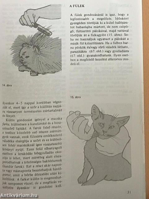 Gondoskodás a macskáról