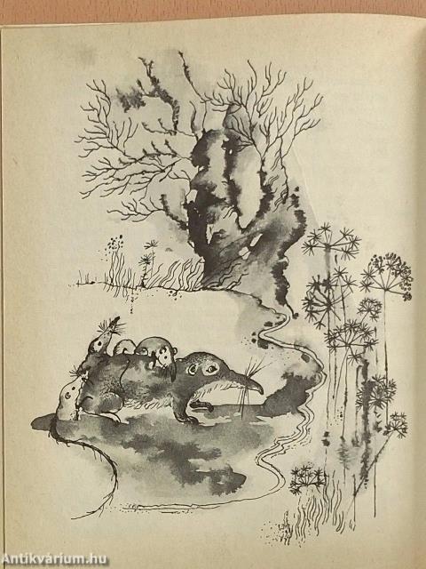 A csontnyelű kiskés