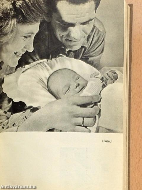 Szülők kislexikona