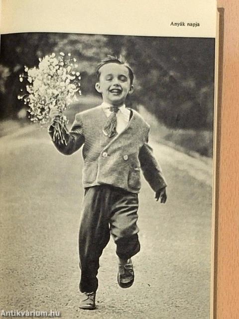 Szülők kislexikona