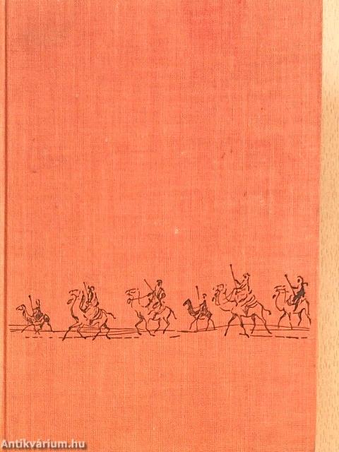 Sivatagon és vadonban