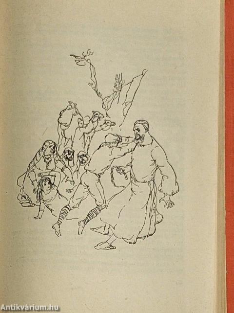 Sivatagon és vadonban