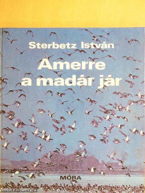 Amerre a madár jár