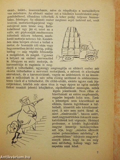 Miért káros az elhízás?